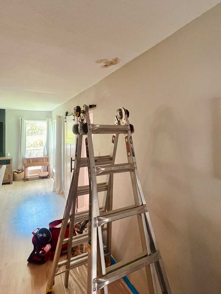 Ceiling Repair & Restoration